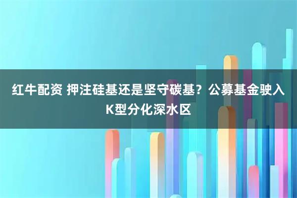 红牛配资 押注硅基还是坚守碳基？公募基金驶入K型分化深水区